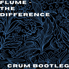 Flume - The Difference (CRUM Bootleg) *FREE*