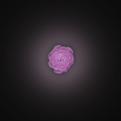 Circles