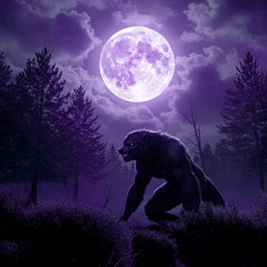 Full Moon