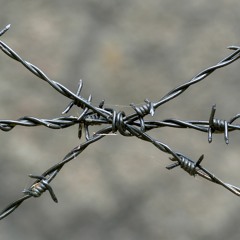 Barbed Wire Telephone Lines