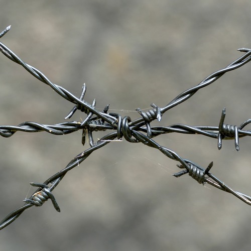 Barbed Wire Telephone Lines