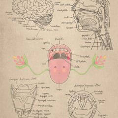 Ask The White_The Invisible Resonance