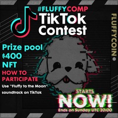 Fluffy Coin - Education Experience v1