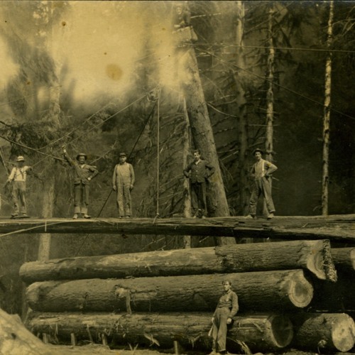 Ep 37: PART 2 - From Conservation to Collaboration with Zach Hagadone: Timber History, continued