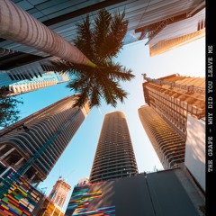 The Grape -  Why Did You Leave Me (Original Mix)