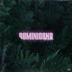 Arda - Dominicana