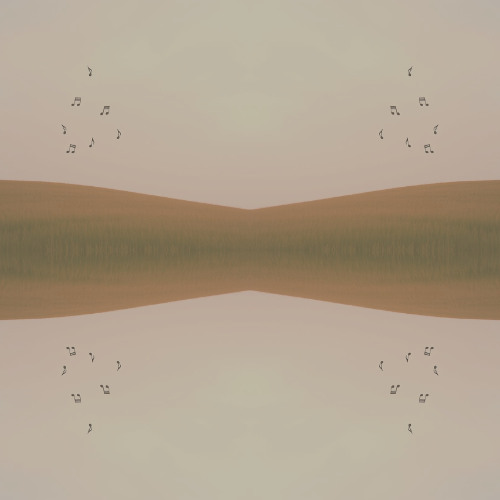 Spark Void Echo #132