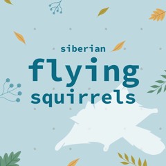 Siberian Flying Squirrels