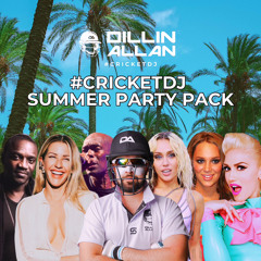 VOL. 12 | MASH UP PACK | CRICKET DJ SUMMER PACK