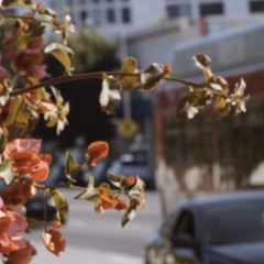 national park draft /92