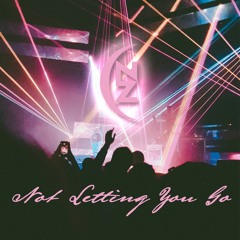 Not Letting You Go (Instrumental)