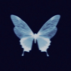 Like Snow, featuring Clizzy Houston and Luccie Fontane