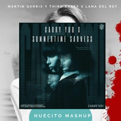 Martin Garrix, Third Party VS Lana Del Rey- Carry You X Summertime sadnes (Huecito Mashup)