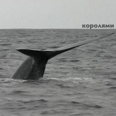 королями (beat by velvet)