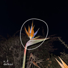 u_2 - defkon