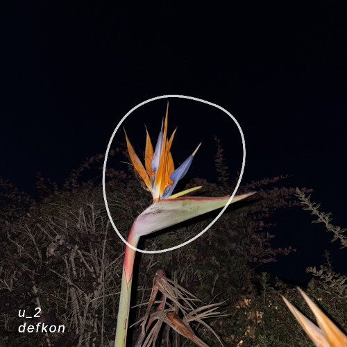 u_2 - defkon
