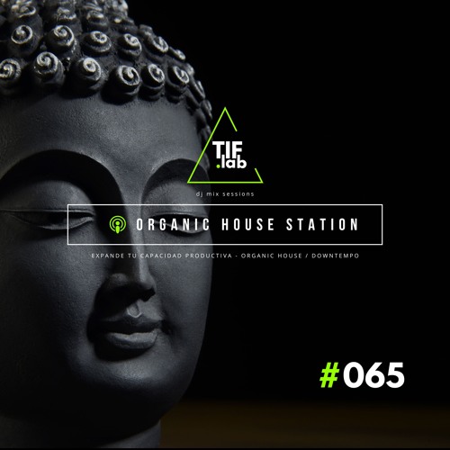 Zen Organic House #065 - Melodies for the Mind | 🛋️ Deep Focus dj mix session 慢摇