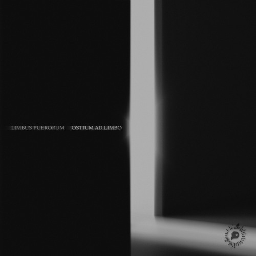 Limbus Puerorum - What's the Meaning of Reality