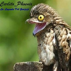 La Leyenda Del Guajojó ( Original Mix )