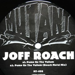 Joff Roach - Pump Up The Valium (Roach Motel Mix)