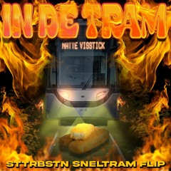 Natte Visstick - In De Tram (STTRBSTN Sneltram Flip)
