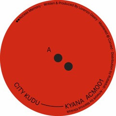 pi pi pi premiere: City Kudu - Kyana War Bug (Access Memory)