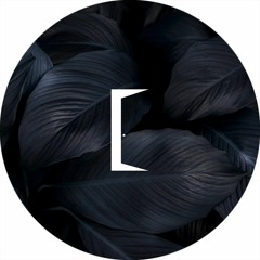 Daniele Bussoleni - Lies (Dottor Jo Remix)