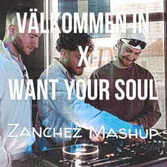 Veronica Maggio, Armand Van Helden - Välkommen in x Want Your Soul (andJack) (Download)