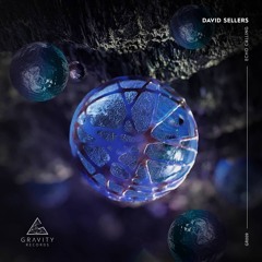 PREMIERE: David Sellers - Perseverance (Original Mix) [Gravity Records]