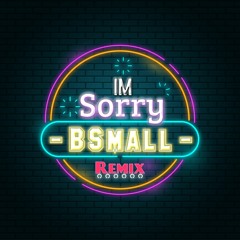 Im Sorry 2020 - Bsmall Remix FULL