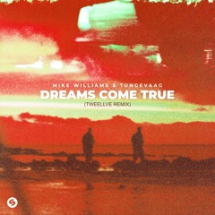 Mike Williams, Tungevaag - Dreams Come True (Tweellve Remix)