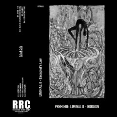 PREMIERE: LIMINAL 8 - Horizon (Do the Raw)