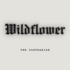 Wildflower (The Contrarian Remix)