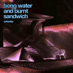 Charko - bong water and burnt sandwich ep