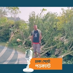 ইউটিউব দেখে কমলা চাষ, হতাশায় বাগান কাটলেন কৃষক | Dhaka Post