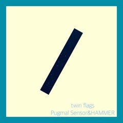 Pugmal Sensor&HAMMER - Twin Flag