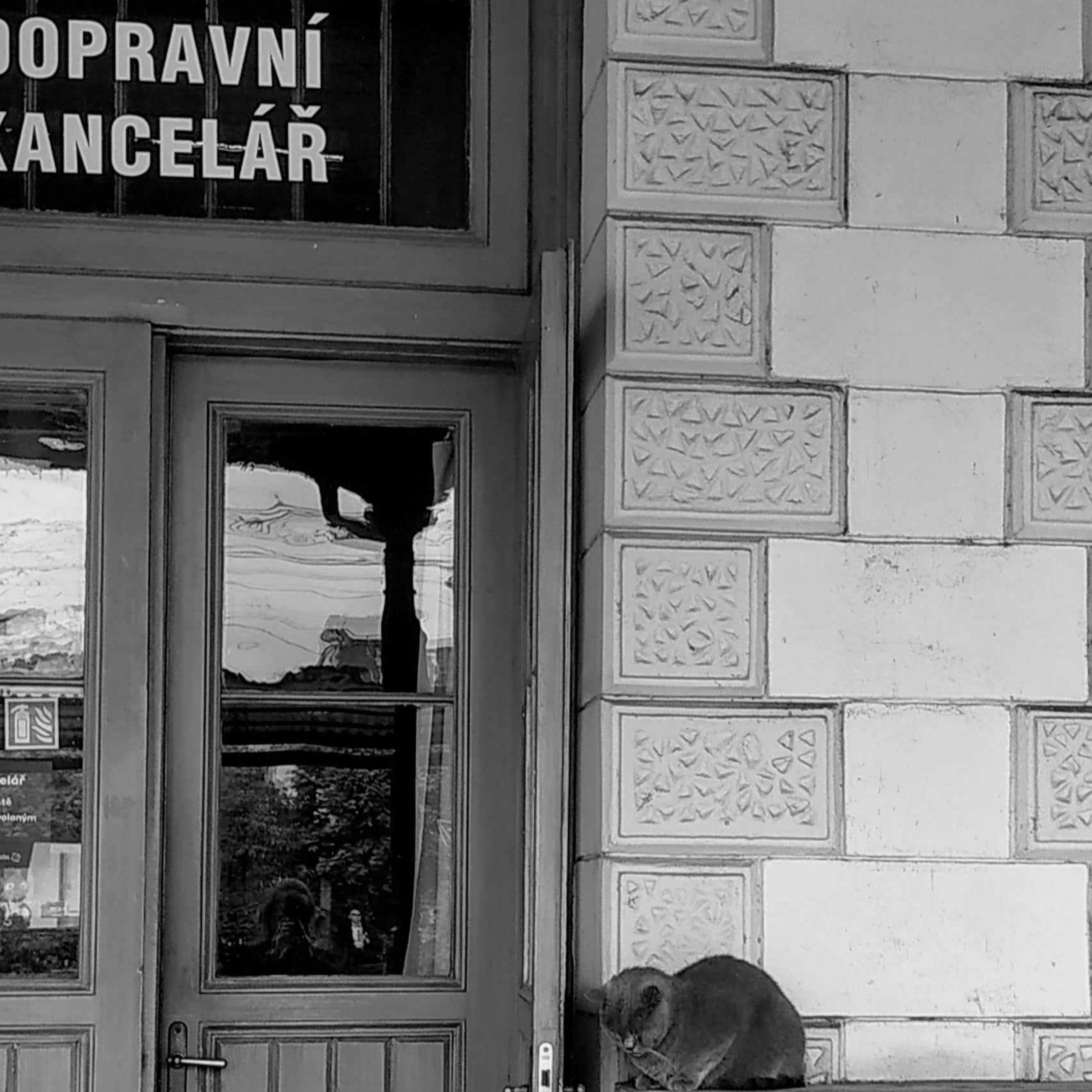 Letní punkta