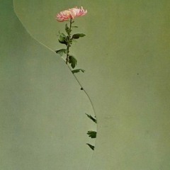 Mixed Signals w/ Beffskee & J.Aria - April 2021