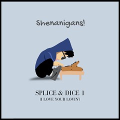 Splice & Dice 1 (I Love Your Lovin')