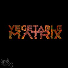 Vegetable Matrix | Interloop Records Mix Series #2