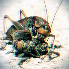Translation from Chirping Crickets