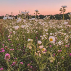 snoh aalegra - wait a little longer (sped Up)
