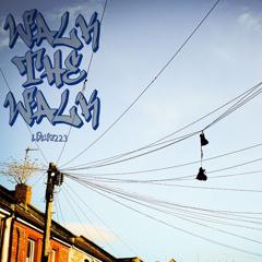 Walk The Walk - Louis223