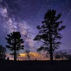 Seraphic Tranquility