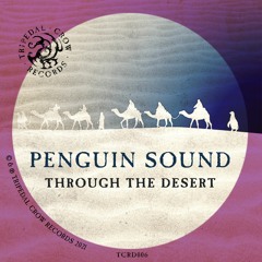 Penguin Sound - Through The Desert EP (Teaser)