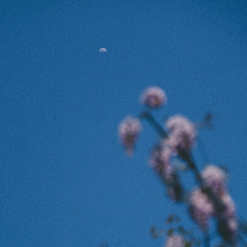 Jonas Fasching - Alegria (Original Mix)