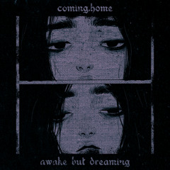 awake but dreaming