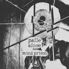 palle alone - mind prison