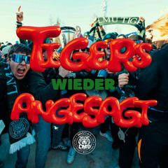 TIGERS WIEDER ANGESAGT