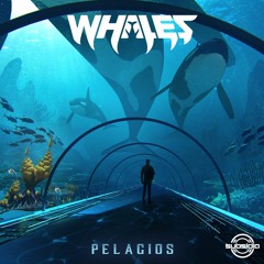 Whales & Herculez - Scarred